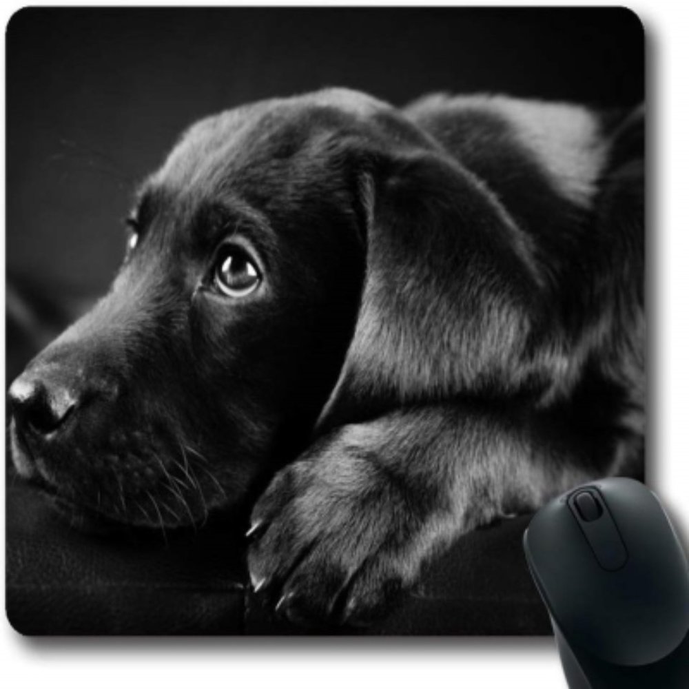 New Computer Mouse Pad (Black Lab)